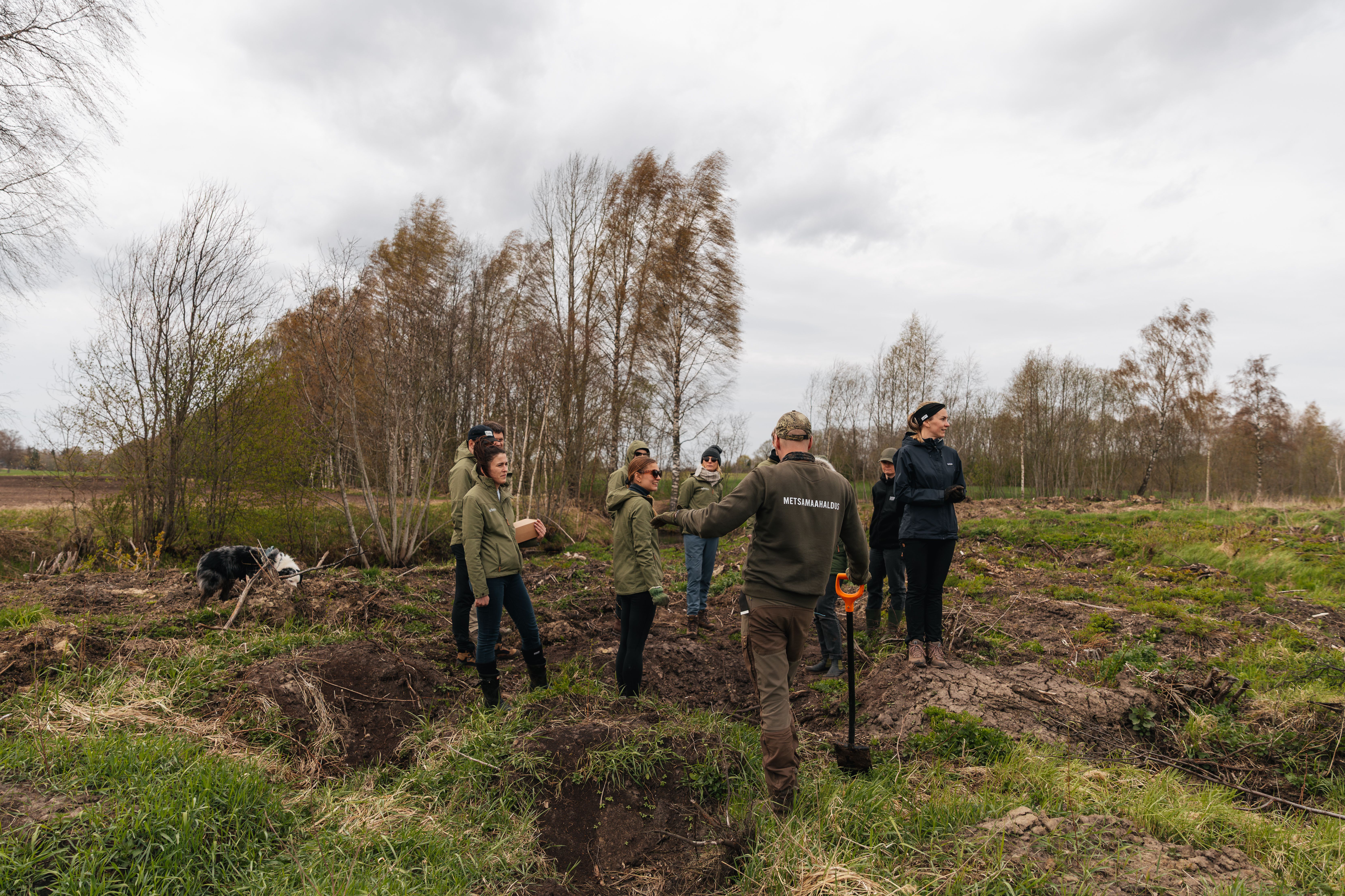 Afforestation with Vestman Group