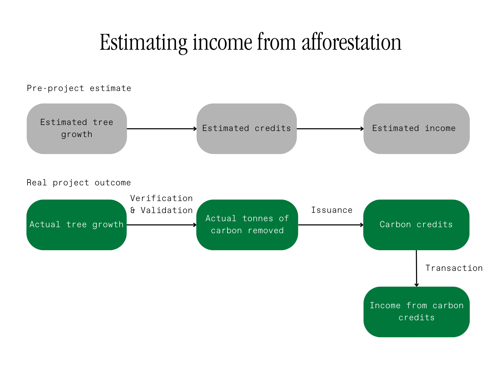 Estimating%20income%20from%20afforestation.png