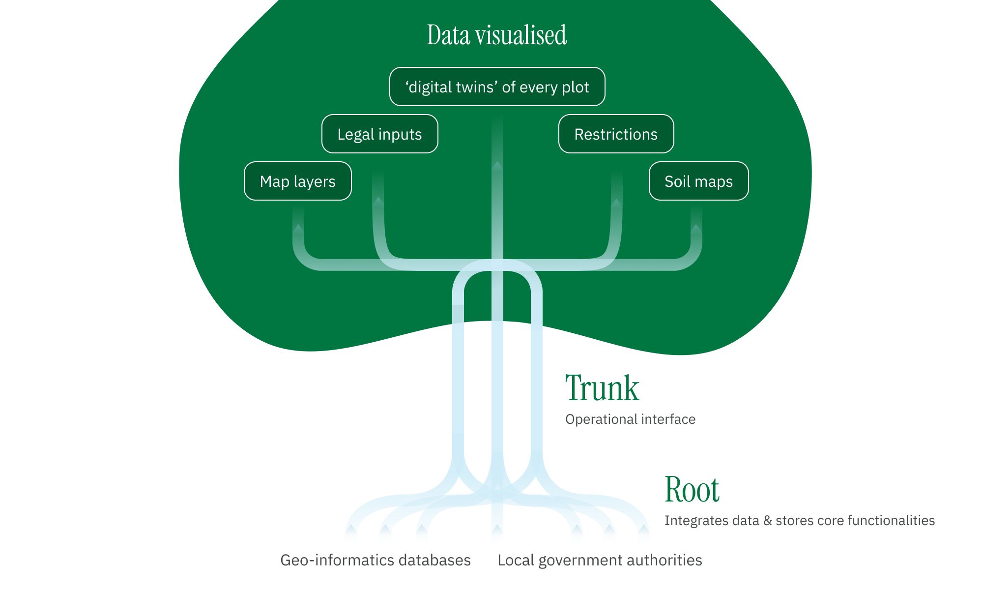 The data flow between Root and Trunk