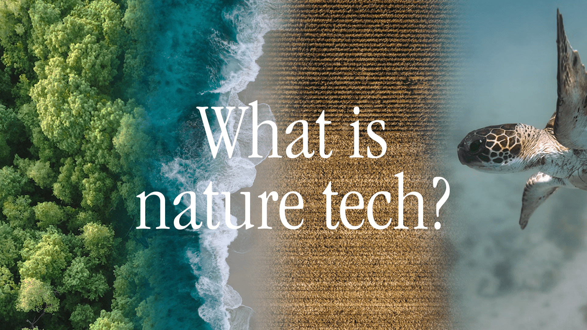 abc-what-is-nature-tech-arbonics